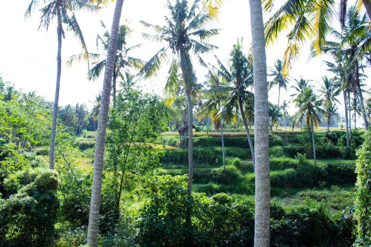 Alam Grigis Ubud Esterno foto