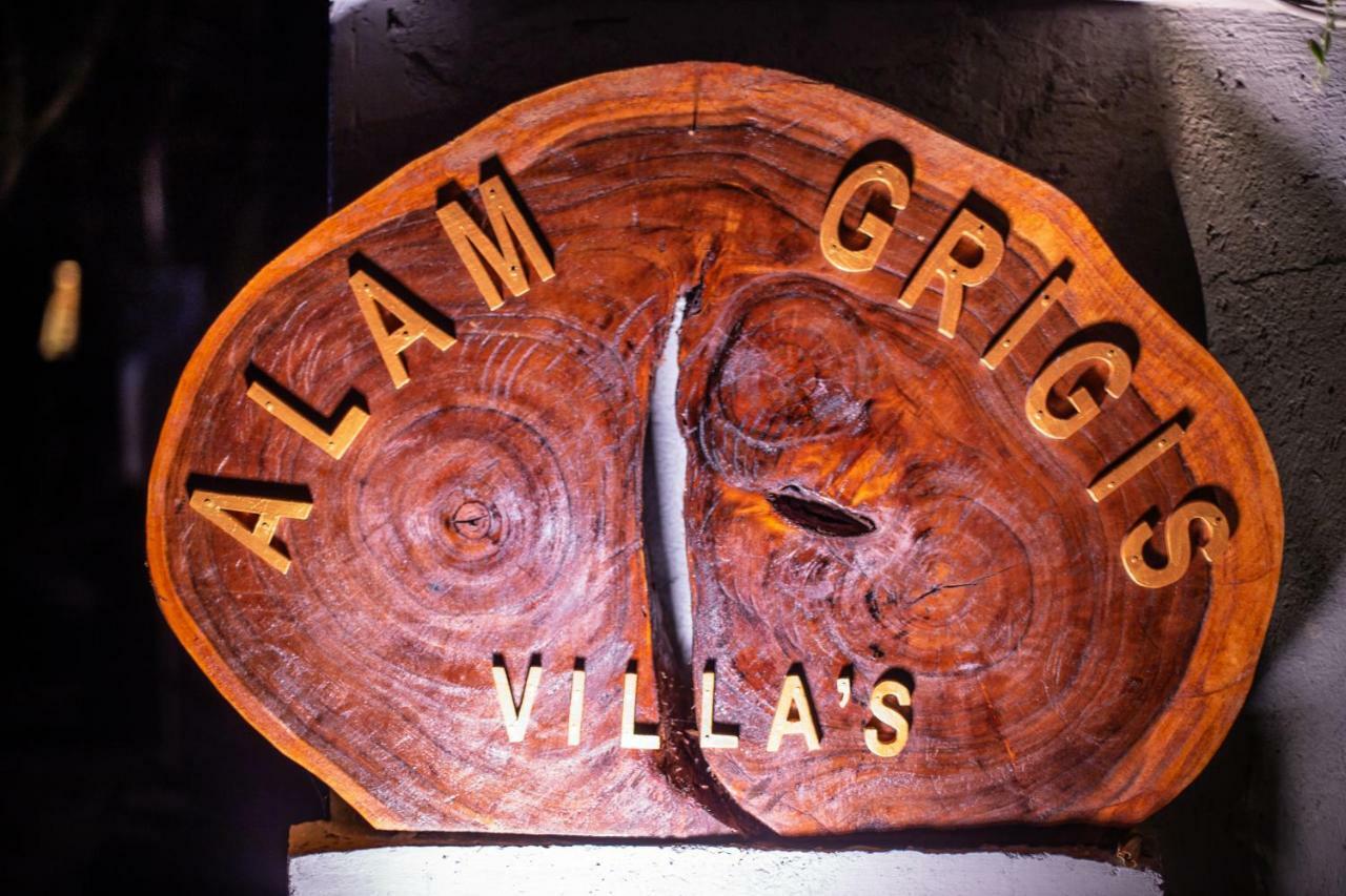 Alam Grigis Ubud Esterno foto